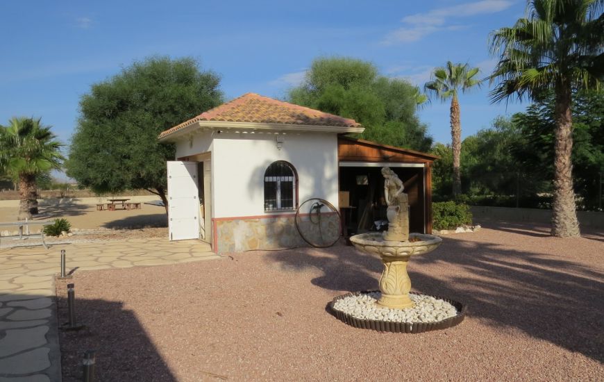 Sale - Finca - Daya Vieja