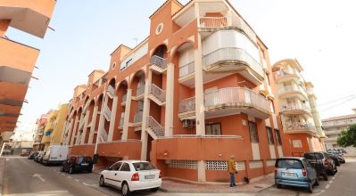 Apartments - Sale - La Mata - La Mata