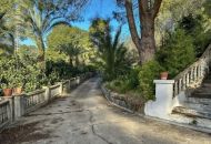 Sale - Apartments - 