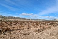 New Build - Villa - Cañada de la Leña