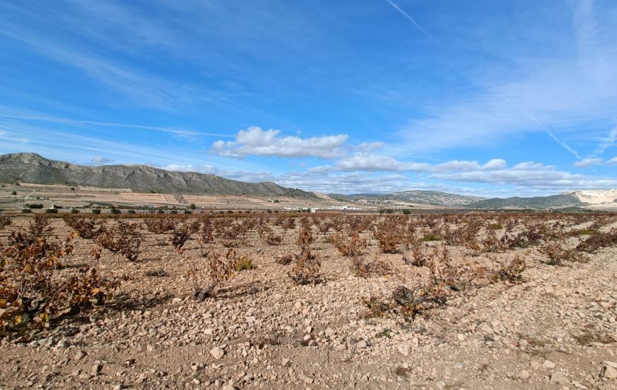 New Build - Villa - Cañada de la Leña