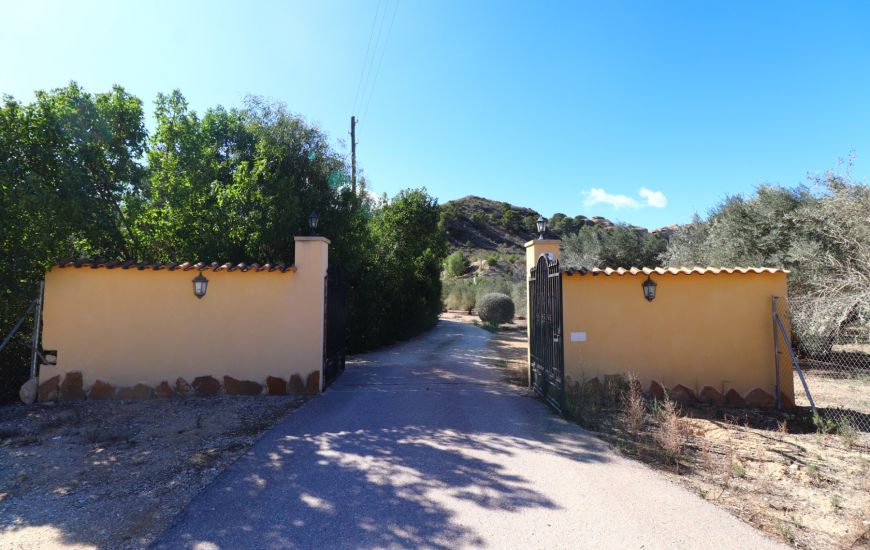 Venta - Casa Rural - Aspe