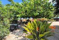 Sale - Finca - Orihuela