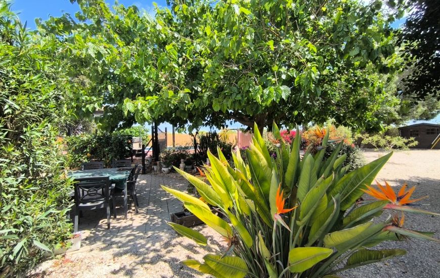 Sale - Finca - Orihuela