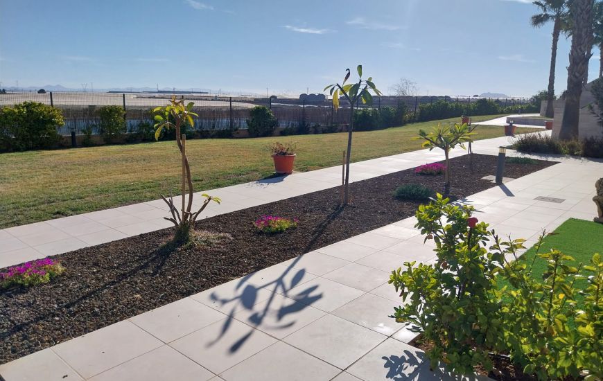 Sale - Apartments - Pilar de la Horadada