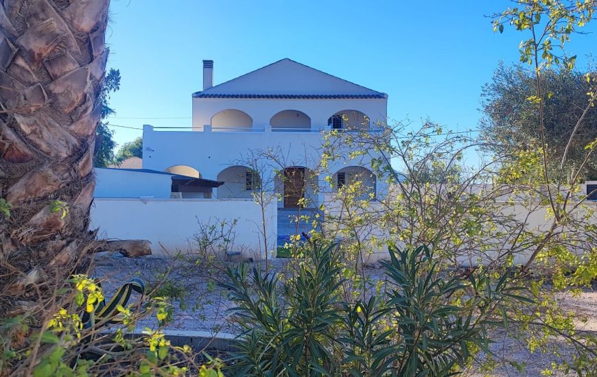 Sale - Finca - Catral