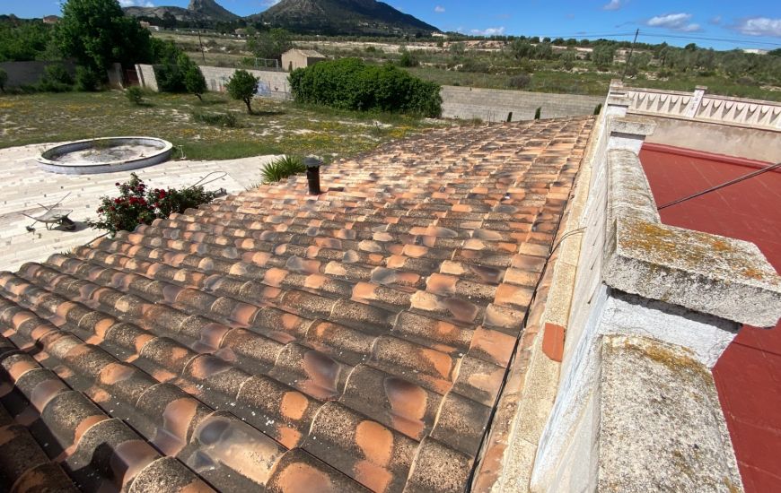 Sale - Finca - Sax