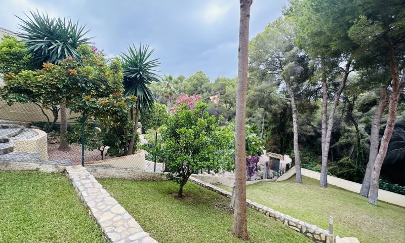 Venta - Apartamentos - 