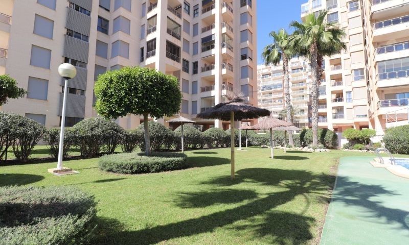 Sale - Apartments - Guardamar del Segura