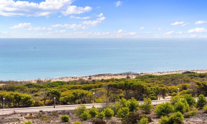 Sale - Apartments - Guardamar del Segura