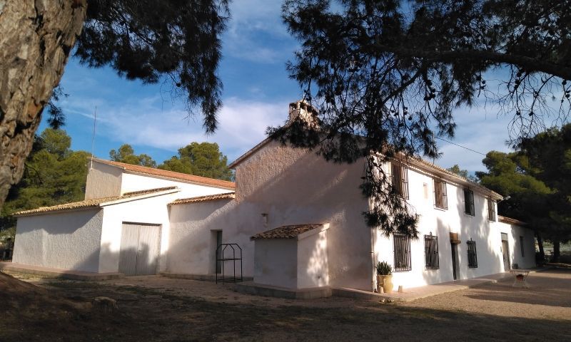 Sale - Finca - Aspe