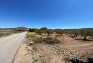 Sale - Finca - Salinas