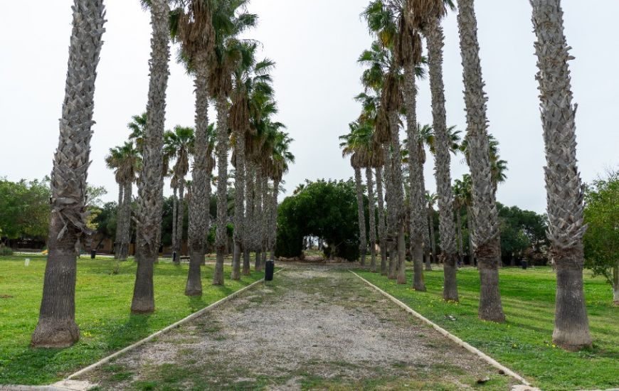 Sale - Villa - Los Altos