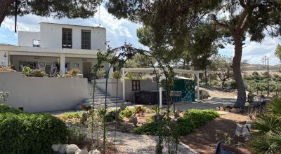 Country Property - Sale - Elche - Elche