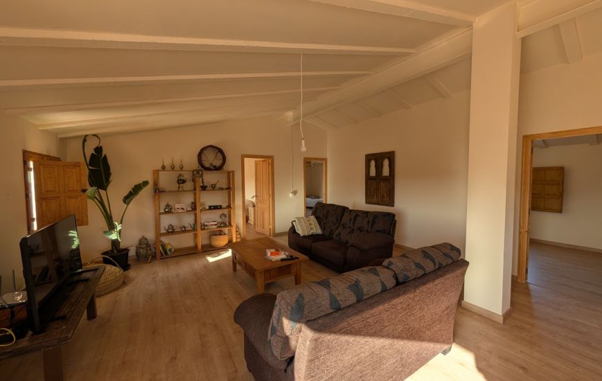 Sale - Finca - Salinas