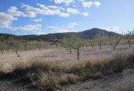 Venta - Casa Rural - Salinas