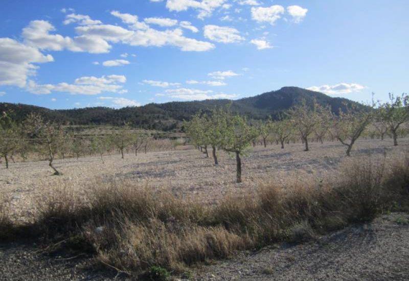 Venta - Casa Rural - Salinas