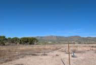Sale - Finca - Salinas