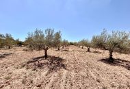 Venta - Casa Rural - Aspe
