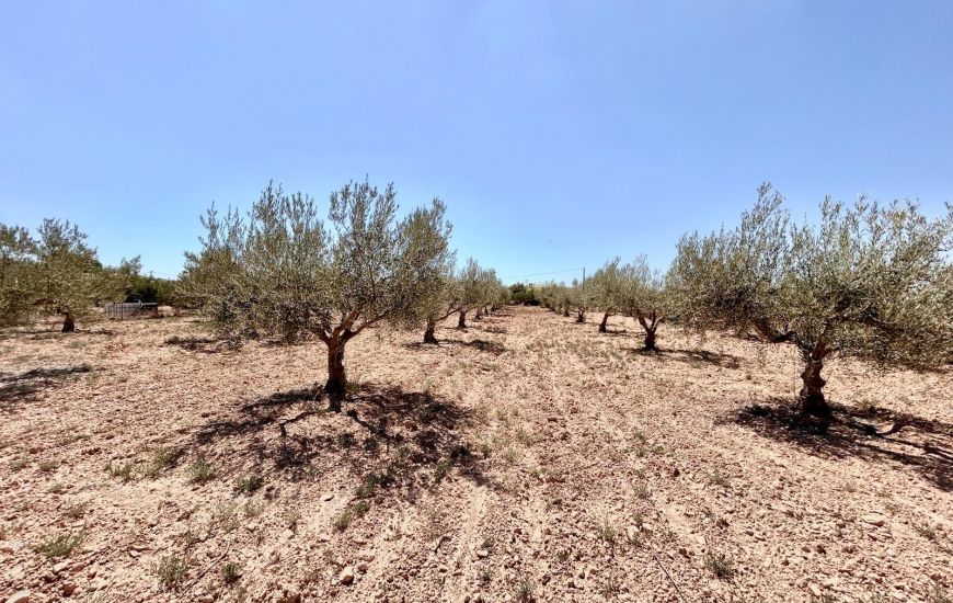 Venta - Casa Rural - Aspe