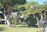 New Build - Villa - Dehesa de Campoamor