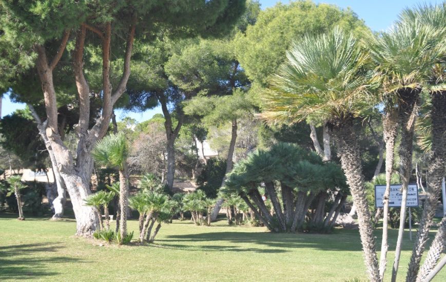 New Build - Villa - Dehesa de Campoamor