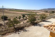 Sale - Finca - Pinoso