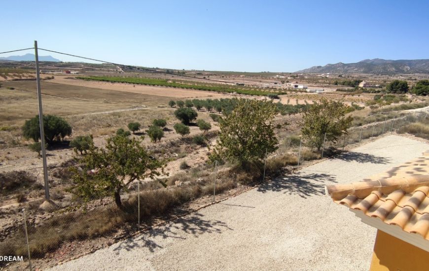 Sale - Finca - Pinoso