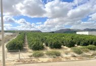 Sale - Apartments - Algorfa