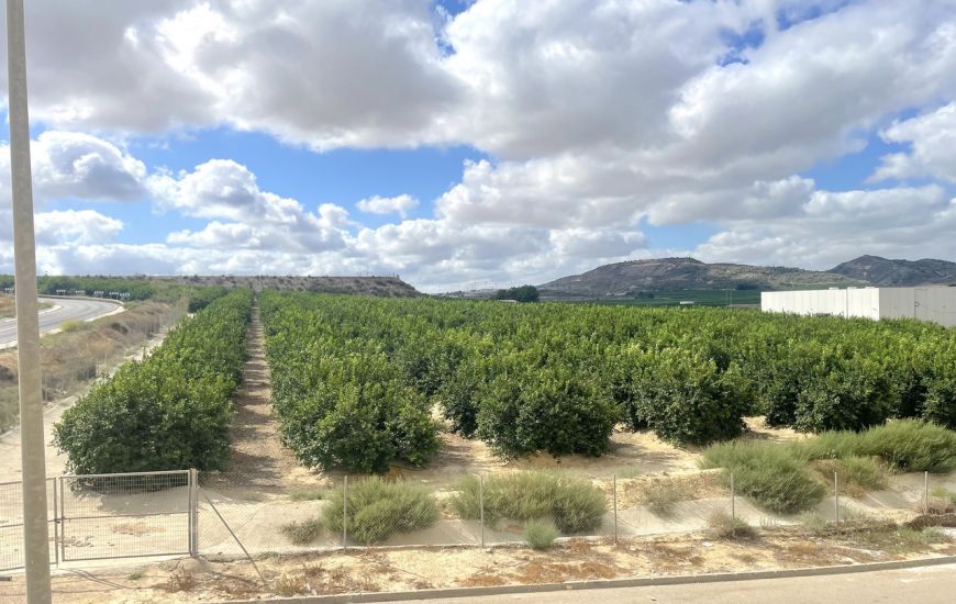Sale - Apartments - Algorfa