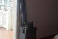 Sale - Apartments - 