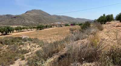 Land - Sale - Hondon de los Frailes - Hondon de los Frailes