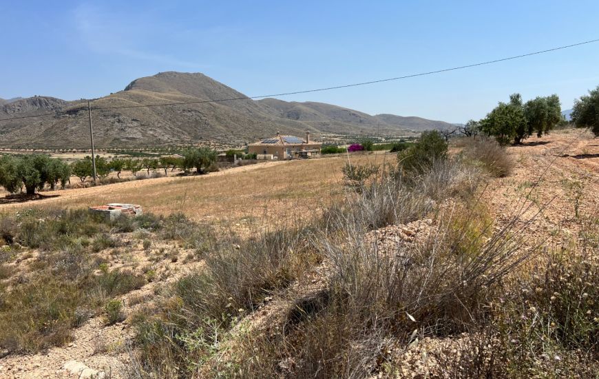 Sale - Land - Hondon de los Frailes