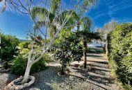 Sale - Villa - Almoradí - Almoradi