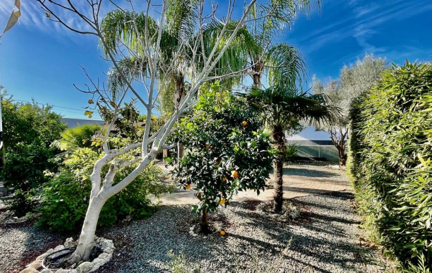 Sale - Villa - Almoradí - Almoradi