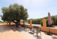 Sale - Country Property - Hondón de las Nieves