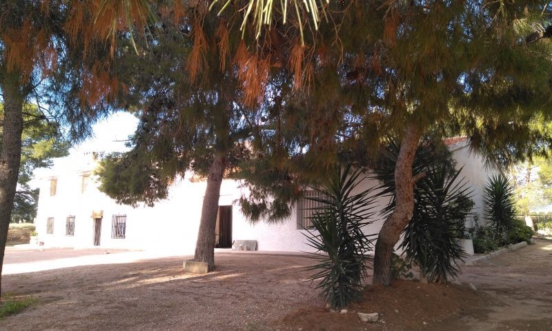 Sale - Finca - Aspe