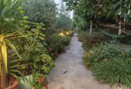 Sale - Villa - 