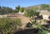 Sale - Finca - Hondon de los Frailes