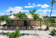 Sale - Finca - Abanilla