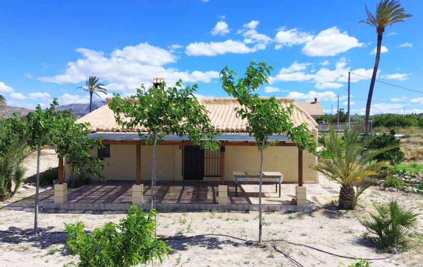 Sale - Finca - Abanilla