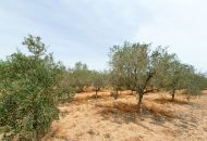 Sale - Villa - Hondon de los Frailes