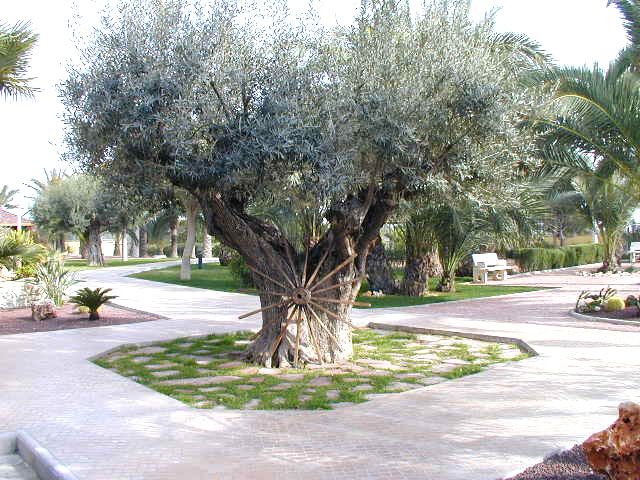 Sale - Villa - Elche