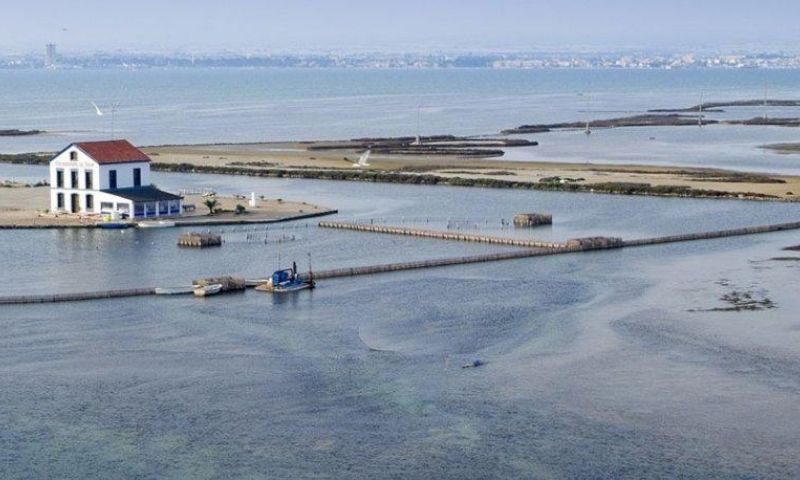 Sale - Apartments - San Pedro del Pinatar