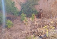 Sale - Rijtjeshuis - Pinoso