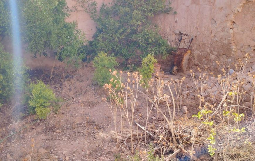 Sale - Rijtjeshuis - Pinoso