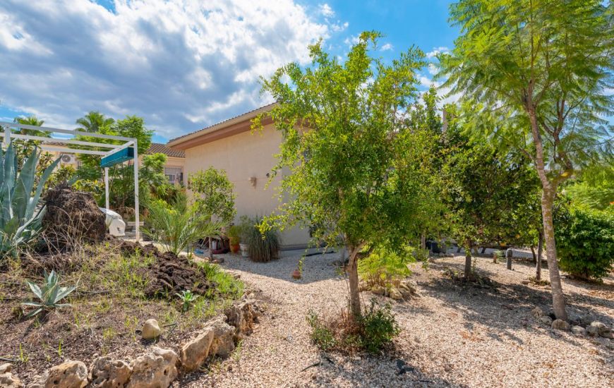 Sale - Villa - Benijófar - Benijofar