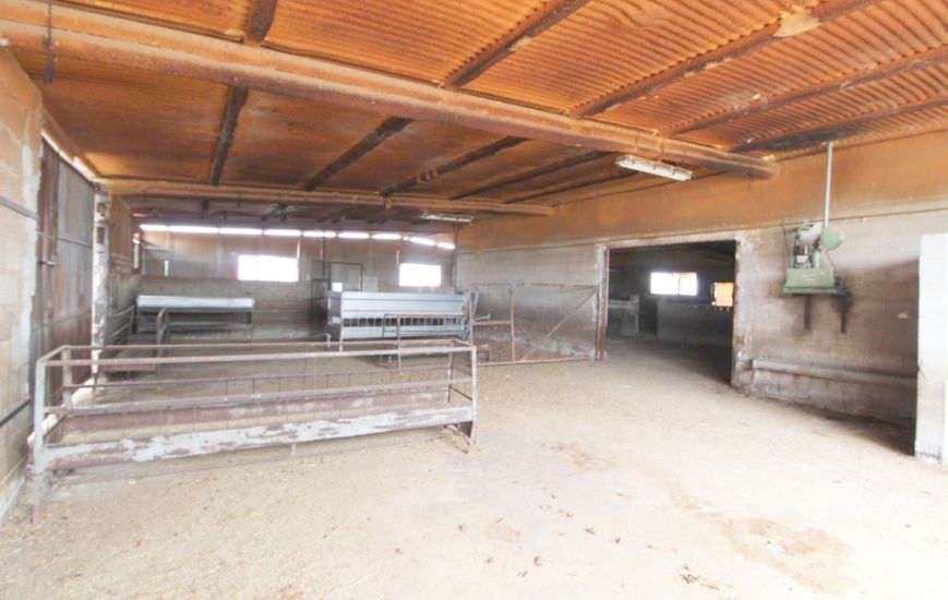 Venta - Casa Rural - Aspe pedanias