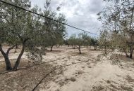 Sale - Finca - Novelda
