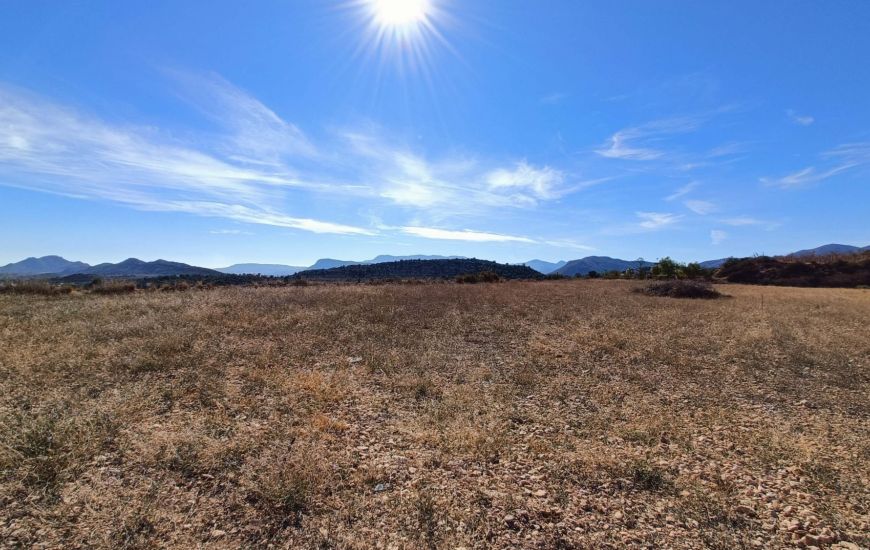 New Build - Country Property - Novelda